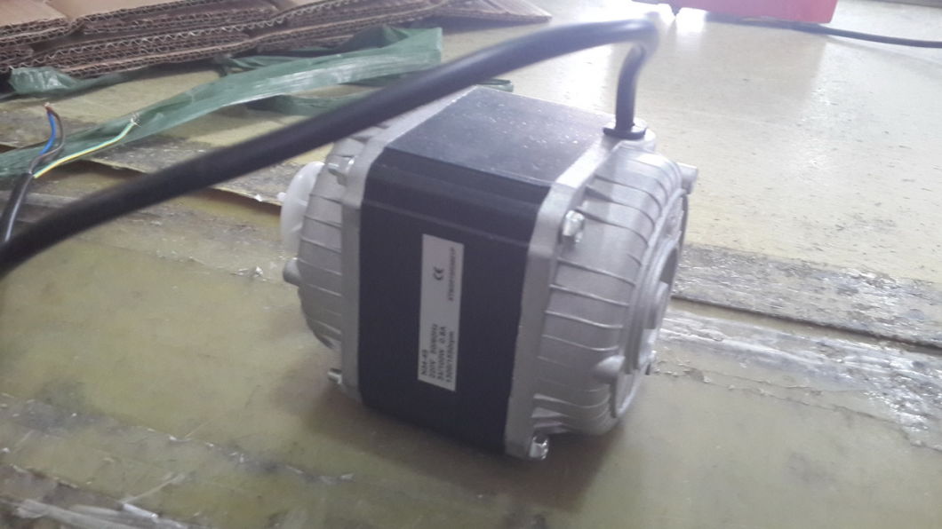 Fan Motor